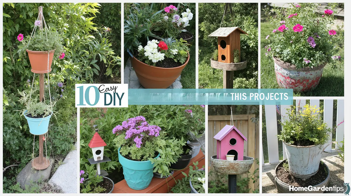 DIY Home and Garden Projects