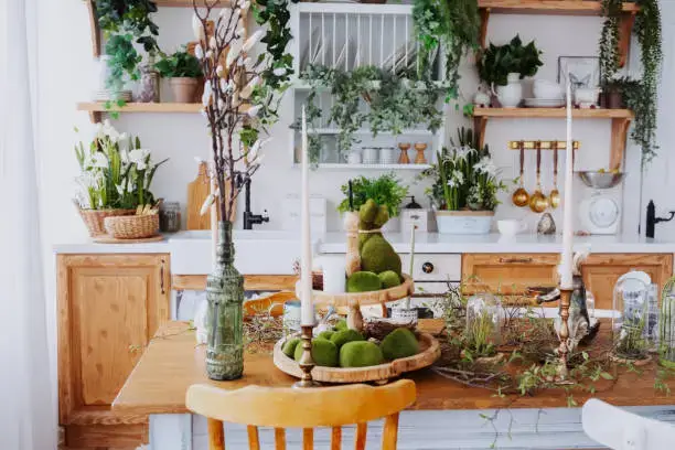 DIY Indoor Herb Garden