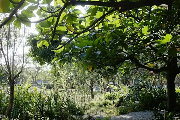 Sustainable Gardening 