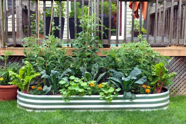 DIY Raised Garden Beds