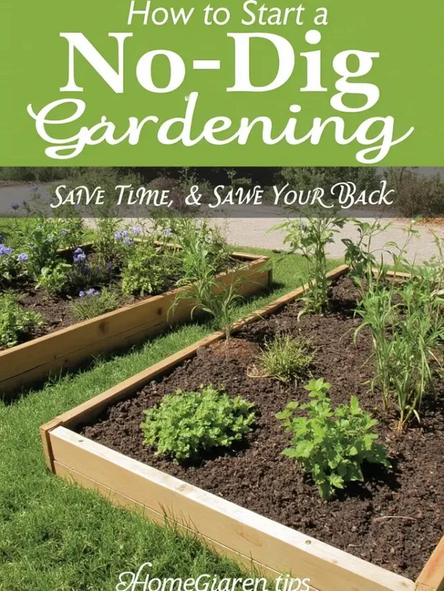 How to Start a no dig gardening​: Save Time, Save Your Back