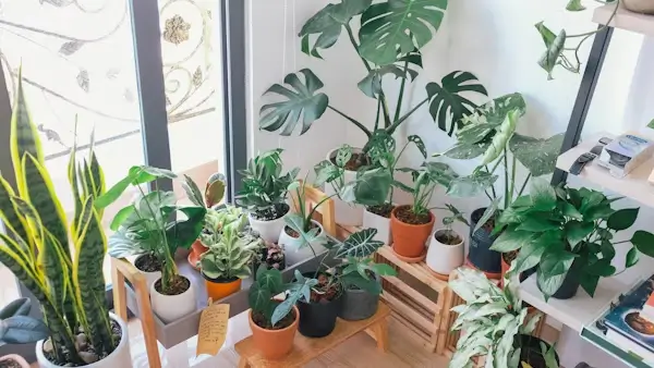 DIY Home Improvement Upgrade Your Space on a Budget 2