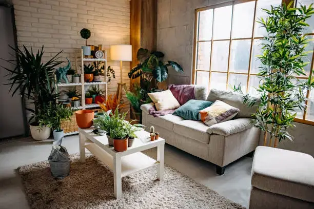 How to Create a Cozy Indoor Plant Corner Even in Small Home 5