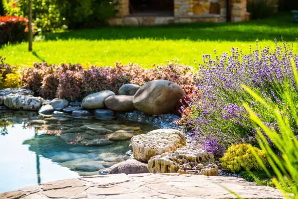 7 Modern Garden Design Ideas for a Stunning Outdoor Space 3