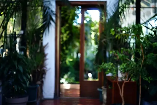 7 creative ideas for design garden in your home 5