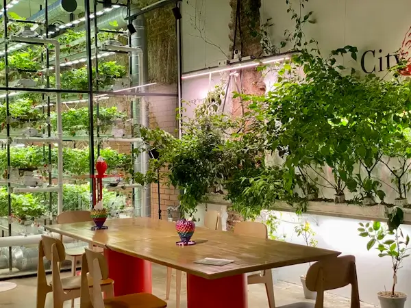 7 creative ideas for design garden in your home 8