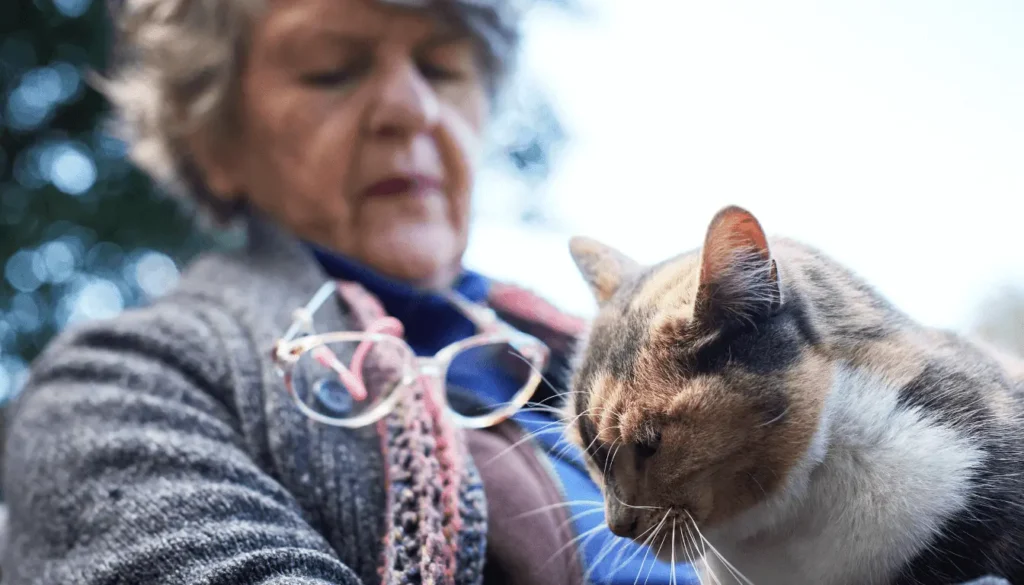 Âge du chat en humain