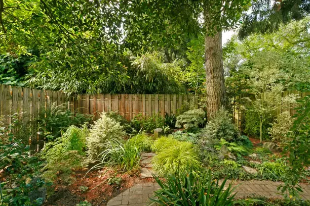 low maintenance front yard landscaping ideas 2