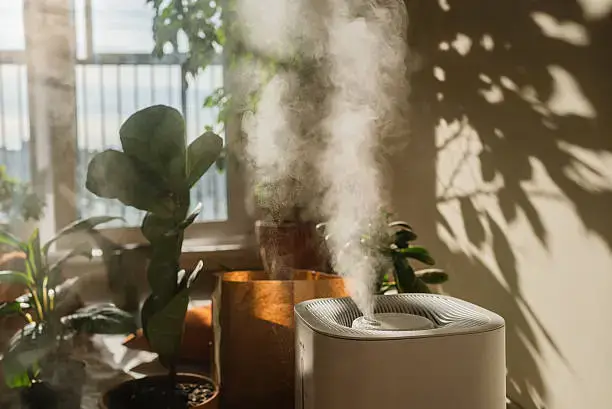 Improve Indoor Air Quality Without Expensive Systems 1